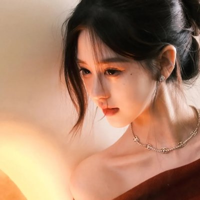神鹰之拳