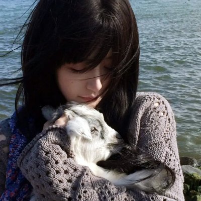 恋恋花颜御捕