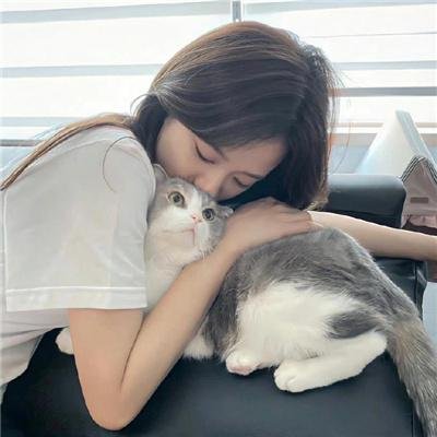 贪婪四重奏